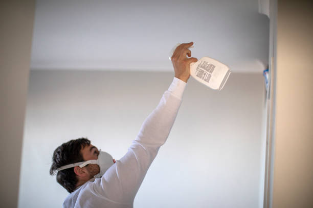 Best Affordable Mold Removal  in Dana Point, CA