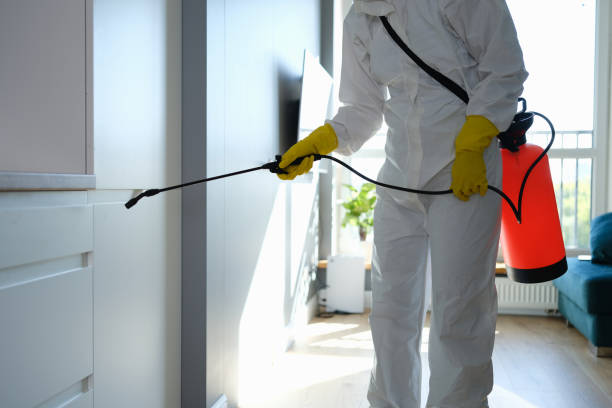 Best Crawl Space Mold Removal  in Dana Point, CA