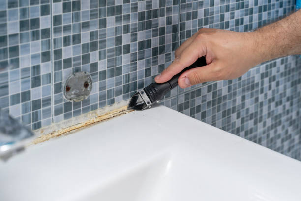Mold Removal Process in Dana Point, CA