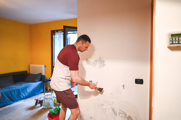 Best Local Mold Removal Service  in Dana Point, CA